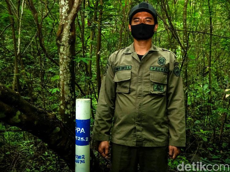 Potret Polisi Hutan Sang Penjaga Rimba Gunung Gede-Pangrango