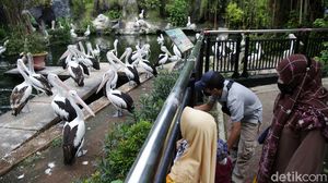 Libur Waisak Warga Serbu Ragunan