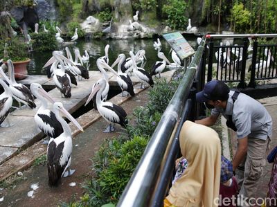 Libur Waisak Warga Serbu Ragunan