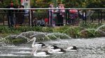 Libur Waisak Warga Serbu Ragunan