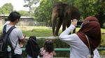 Libur Waisak Warga Serbu Ragunan
