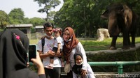 Sebagian dari warga mengabadikan kunjungan dengan foto bersama di depan kandang gajah.