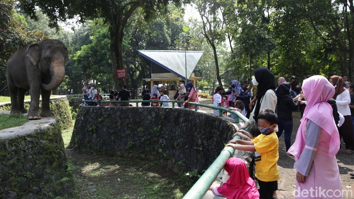 Taman Margasatwa Ragunan ramai didatangi pengunjung saat libur Waisak, Rabu (26/5/2021). Pengunjung datang bersama rombongan keluarga.
