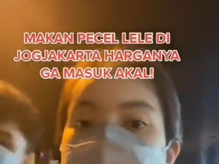 Viral postingan wisatawan yang mengeluhkan harga pecel lele di kawasan Malioboro, Kota Yogyakarta.