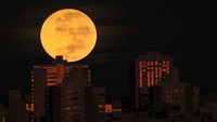 Gerhana bulan tersebut terlihat sempurna dengan warna merah menyala.