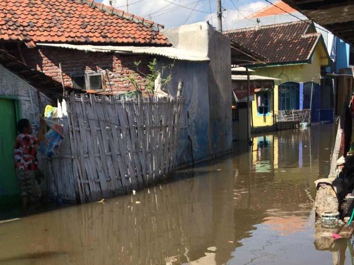 banjir rob pesisir pantai utara Probolinggo