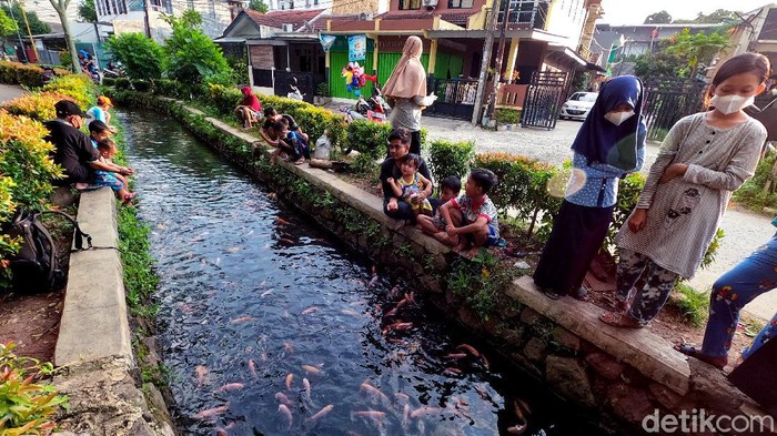 Disulap Jadi Kolam Ikan, Selokan di Pamulang Ramai Didatangi Warga Saluran air di area perumahan Pamulang ini disulap menjadi kolam ikan. Kini, saluran air itu jadi tempat hiburan dadakan bagi warga sekitar. Berikut potretnya.