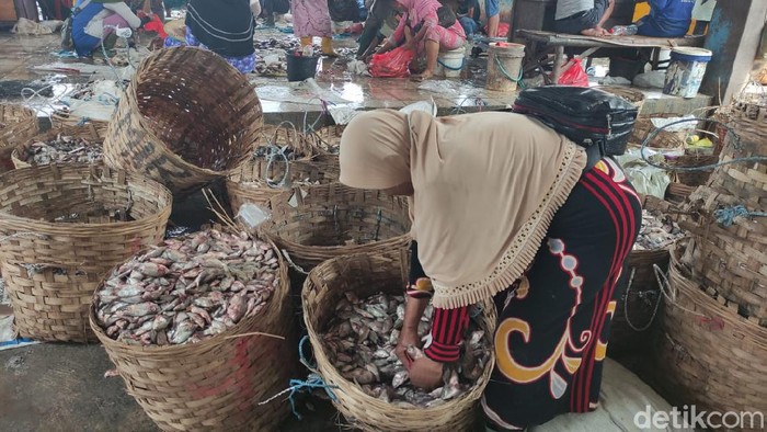 harga ikan di lamongan