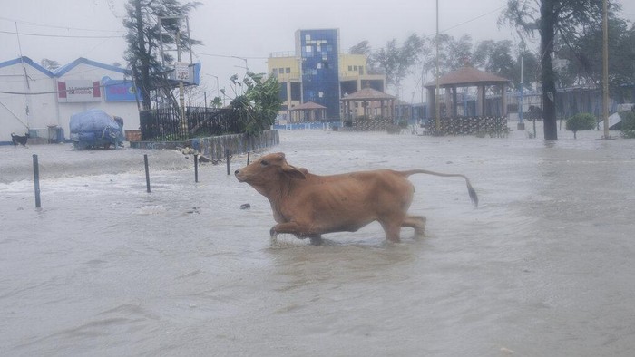 India Babak Belur Diamuk Topan Yaas A villager walks holding an umbrella as dark clouds loom over during a drizzle in Balasore district in Odisha, India, Tuesday, May 25, 2021. Tens of thousands of people were evacuated Tuesday in low-lying areas of two Indian states and moved to cyclone shelters to escape a powerful storm barreling toward the eastern coast. (AP Photo)
