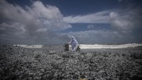 Dilaporkan Kapal X-Press Pearl berangkat dari Gujarat, India, pada 15 Mei. Kapal itu menuju Singapura melalui Sri Lanka. Hingga kini alasan terbakarnya kapal tersebut masih diselidiki.  