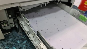Printer jadi markas semut. Foto: dok Bored Panda