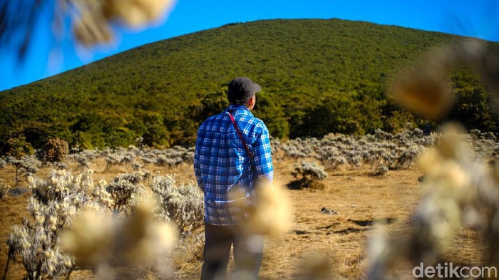 Gunung Gede menjadi salah satu destinasi wisata favorit warga Jabodetabek karena lokasinya yang strategis. Pihak taman nasional sudah kembali membolehkan pendakian ke Gunung Gede saat pandemi COVID-19.
