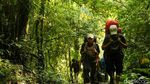 Naik-naik ke Gunung Gede Kala Pandemi
