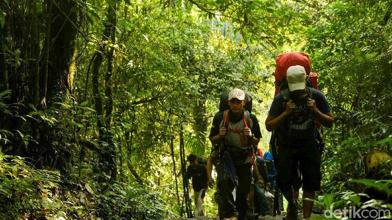 Mau Isi Liburan Naik Gunung Gede? Begini Syaratnya Gunung Gede menjadi salah satu destinasi wisata favorit warga Jabodetabek karena lokasinya yang strategis. Pihak taman nasional sudah kembali membolehkan pendakian ke Gunung Gede saat pandemi COVID-19.