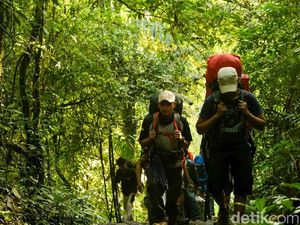 Cara Booking Pendakian Gunung Gede: Kuota dan Biayanya 2024