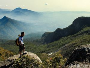 Video Gunung Gede Pangrango Ditutup Sementara, Kenapa?