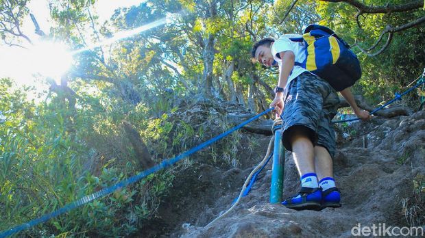 Mau Isi Liburan Naik Gunung Gede? Begini Syaratnya Gunung Gede menjadi salah satu destinasi wisata favorit warga Jabodetabek karena lokasinya yang strategis. Pihak taman nasional sudah kembali membolehkan pendakian ke Gunung Gede saat pandemi COVID-19.