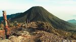 Naik-naik ke Gunung Gede Kala Pandemi