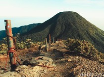 12 Gunung di Indonesia yang Cocok untuk Pendaki Pemula