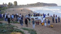 Sebuah pesawat ringan mendarat dengan selamat di pantai Sydney setelah mesin tunggalnya rusak.  
