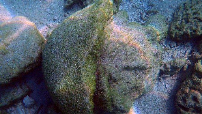 Siklon Seroja sebabkan kerusakan pada terumbu karang di sebagian NTT. Hal itu dikhawatirkan dapat rusak fungsi ekologis-ekonomis yang rugikan masyarakat pesisir