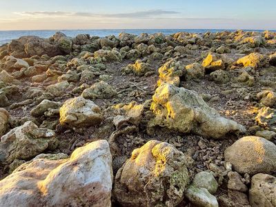 Terumbu Karang di NTT Rusak Diterjang Siklon Seroja