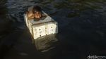 Foto: Kawasan Muara Baru Juga Banjir Rob Usai Gerhana Bulan
