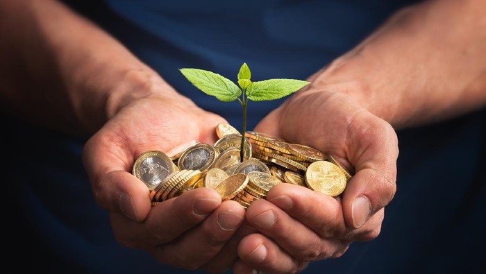 Man Using euro money to invest in a new small business