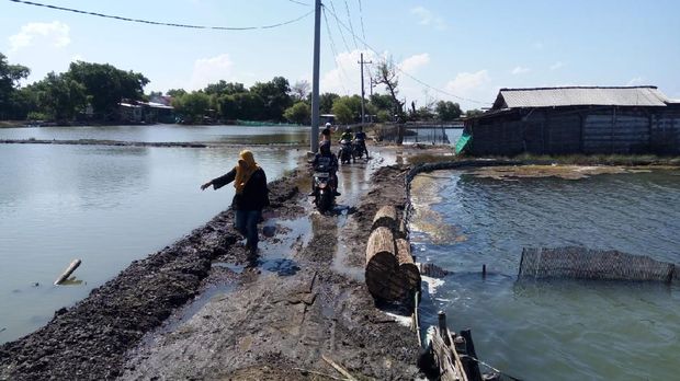 banjir rob di sidoarjo