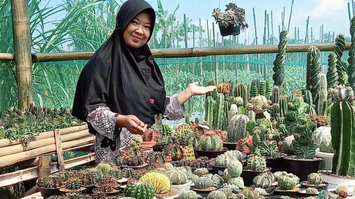 Berani Resign dari  Bank! Wanita Ini Jualan Kaktus Beromzet Puluhan Juta