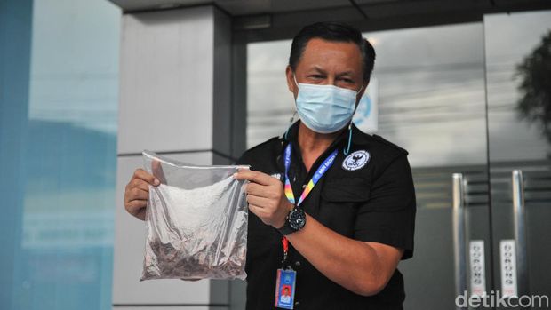 BNNP Bali menangkap WN Rusia pemilik narkotika jenis Dimethyltryptamine (DMT) (Sui S/detikcom)