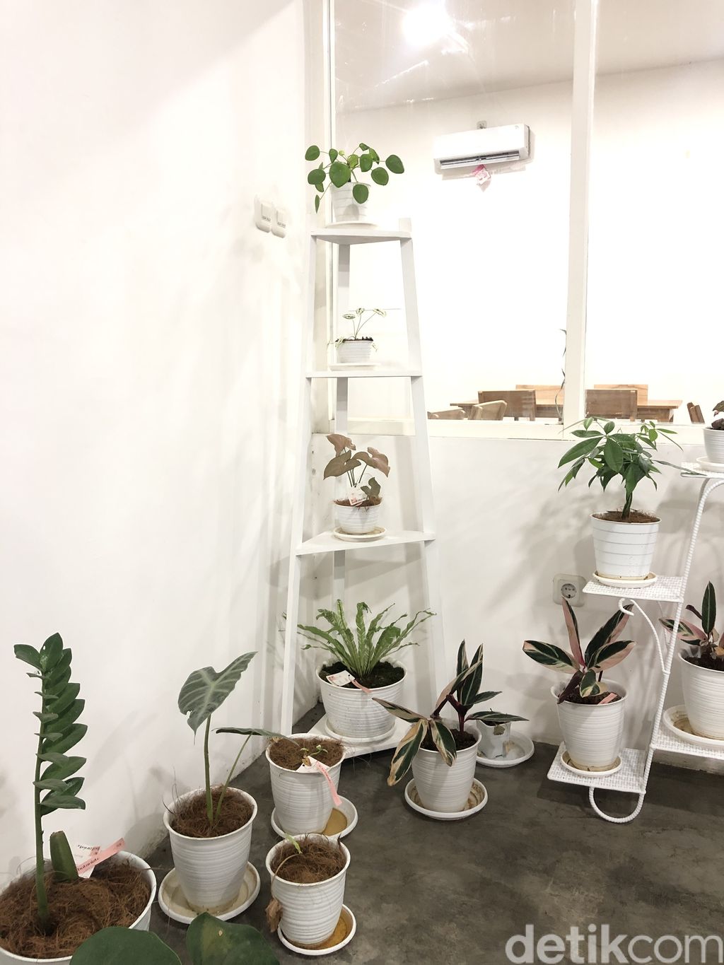 Kedai Botani Coffee House: Kafe Instagenik yang Punya 'Thinking Room'