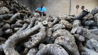 Untuk bahan dasarnya, pekerja memerlukan puluhan akar bambu.