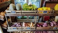 Untuk memesan langsung ke kasir dan melihat daftar menu yang ditulis di sisi kanan pengujung. Nah, menu itulah yang tersedia pada hari kamu datang. Foto: detikcom/Riska Fitria