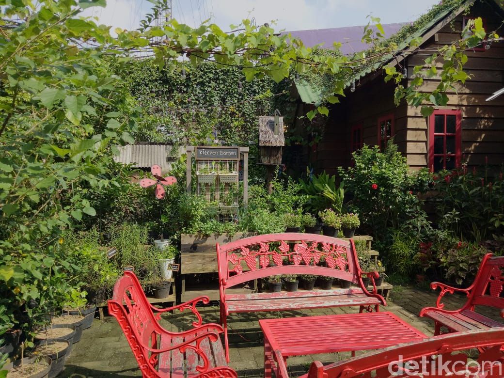 Mandira Garden: Menikmati Hasil Kebun yang Segar di Tengah Kebun Asri