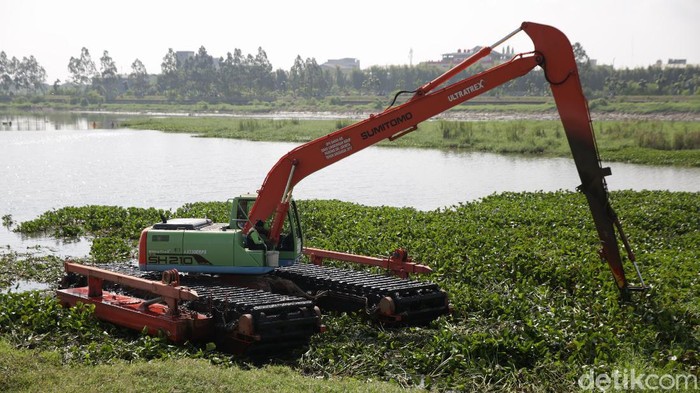 Momen Normalisasi Fungsi Sungai di KBT Demi menjaga normalisasi fungsi sungai sebagai kawasan aliran air, dilakukan pembersihan eceng gondok di Kanal Banjir Timur.