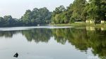 Penampakan Bagian Pesawat yang Jatuh di Danau Cibubur