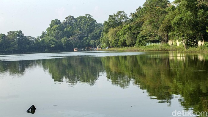 Sebuah pesawat latih jatuh di Danau Buperta, kawasan Cibubur, Kota Depok, Jawa Barat (Jabar). Pesawat ini belum dievakuasi.