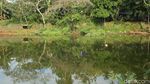 Penampakan Bagian Pesawat yang Jatuh di Danau Cibubur