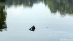 Penampakan Bagian Pesawat yang Jatuh di Danau Cibubur