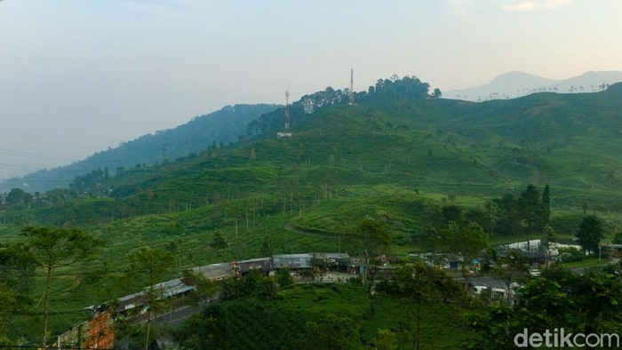 Kawasan Puncak Pass di Jawa Barat sangat sejuk di pagi hari. Hamparan bukit-bukit dan gunung elok dipandang.