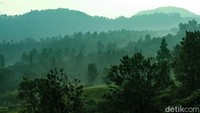 Siluet perbukitan di kawasan Puncak terlihat cantik saat pagi beberapa waktu lalu. Warna hijau mendominasi pemandangan.
