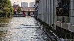 Semangat Pekerja Pelabuhan Menerjang Rob Jakarta Utara