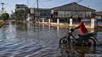 Semangat Pekerja Pelabuhan Menerjang Rob Jakarta Utara