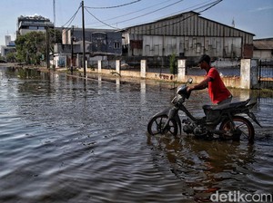 Luhut Sebut RI Sudah Rugi Rp 1.000 T Gara-gara Banjir Rob