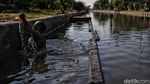 Semangat Pekerja Pelabuhan Menerjang Rob Jakarta Utara