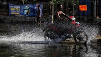 Pengendara sepeda motor nekat menerobos banjir rob.