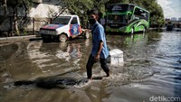 Para pekerja harus menerobos air rob menuju pabrik ikan.