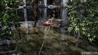 Banjir rob tersebut terjadi sejak Rabu malam yang bersamaan dengan gerhana bulan.