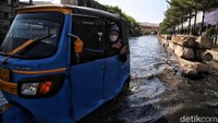 Bajaj menerobos banjir rob di Muara Baru, Jakarta Utara.
